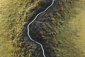 DIMENSIÓN 7