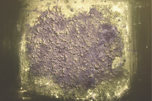 Materia-Imagen-1